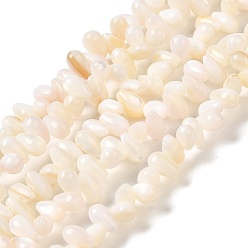Freshwater Shell Natural Freshwater Beads Strands, Teardrop, 6~7.5x3~4x3~4mm, Hole: 0.8mm, about 116~119pcs/strand, 14.88''~14.96''(37.8~38cm)