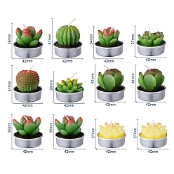 Mixed Color Cactus Paraffin Smokeless Candles, Artificial Succulents Decorative Candles, with Aluminium Containers, for Home Decoration, Mixed Color, 15.6x10.3x10.3cm, 12pcs/set