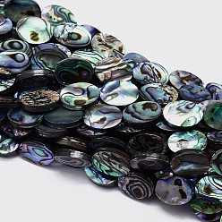 Colorful Natural Paua Shell Beads Strands, Oval, Colorful, 14x10x3mm, Hole: 1mm, about 28pcs/strand, 15.7 inch