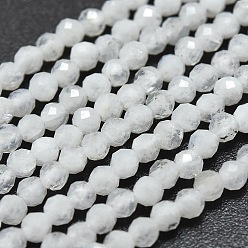 Rainbow Moonstone Natural Rainbow Moonstone Beads Strands, Round, Faceted, 2mm, Hole: 0.4mm, about 192pcs/Strand, 15.16 inch(38.5cm)