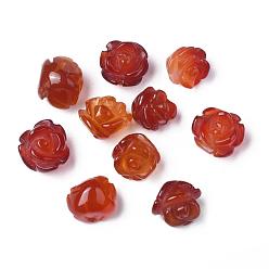 Carnelian Natural Carnelian Beads, Rose, 8x6~7mm, Hole: 1mm