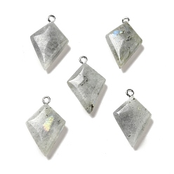 Labradorite Natural Labradorite Pendants, Kite Charms, with Stainless Steel Color Tone Stainless Steel Loops, 28x18x6~7mm, Hole: 2mm
