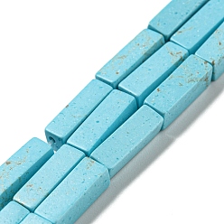 Pale Turquoise Synthetic Imperial Jasper Dyed Beads Strands, Rectangle, Pale Turquoise, 13~13.5x4~4.5x4~4.5mm, Hole: 1.4mm, about 28~29pcs/strand, 14.49''~14.96''(36.8~38cm)