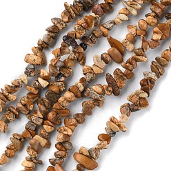 Jaspe Image Image Naturel jaspe perles brins, puce, 1.5~4.5x3~13x2.5~8mm, Trou: 0.6mm, 30.94~31.97 pouce (78.6~81.2 cm)