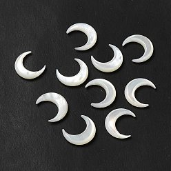 Seashell Color Natural White Shell Connector Charms, Moon Links, Seashell Color, 15x13x2.5mm, Hole: 0.8mm