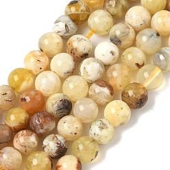 Желтый Опал Природные желтые опал бусины пряди, круглые, 8~8.5 мм, отверстие : 0.8 мм, около 47 шт / нитка, 14.96 дюйм (38 см)