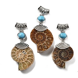 Синтетическая Бирюза Синтетические голубые бирюзовые окаменелые улитки-подвески, со сплавочной фурнитурой, Платиновый металл, 58~78x29~35x8~9 мм, отверстие : 4x6 мм
