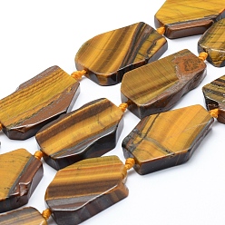 Tiger Eye Natural Tiger Eye Beads Strands, Flat Slab Beads, Nuggets, 28~40x24~34x7~8mm, Hole: 2mm, about 10pcs/strand, 15.35 inch(39cm)