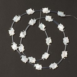 Creamy White Natural White Shell Mother of Pearl Shell Beads, Cat, Creamy White, 9x12x3.5mm, Hole: 0.7mm, about 20pcs/strand, 18.50''(47cm)