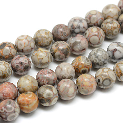 Maifanite Natural Maifanite/Maifan Stone Beads Strands, Round, 10mm, Hole: 1mm, about 38pcs/strand, 14.76 inch