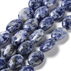 Jaspe Avec Point Bleu Perles de jaspe tache bleue naturelle, Ovale Plat, 17.5~18x12.5~13x6mm, Trou: 1.2mm, Environ 22 pcs/chapelet, 15.55'' (39.5 cm)