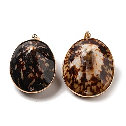 Other Sea Shell Electroplate Natural Shell Big Pendants, Light Gold Tone Brass Oval Charms with Iron Snap on Bails, 49~53x37.5~41.5x25.5mm, Hole: 7x3.5mm