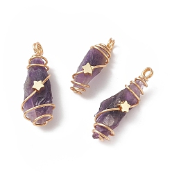 Amethyst Natural Amethyst Copper Wire Wrapped Pendants, Nuggets Charm, Golden, 24~44x8~15x5~15.5mm, Hole: 2.5~4mm