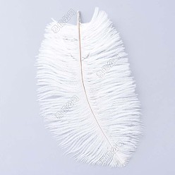 Белый Аксессуары для страуса, окрашенные, белые, 300~350 мм