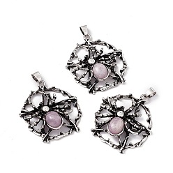 Kunzite Natural Kunzite Pendants, Flat Round with Spider Charms, with Antique Silver Color Brass Findings, 37~38x34~35x9mm, Hole: 5x4mm