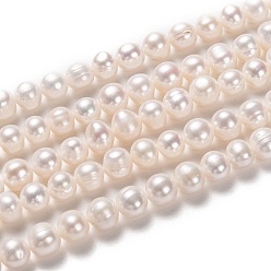 Bisque Natural Cultured Freshwater Pearl Beads Strands, Potato, Bisque, 7~8x7.5~9mm, Hole: 0.6mm, about 48pcs/strand, 14.25 inch(36.2cm)