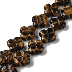 Tiger Eye Natural Tiger Eye Beads Strands, Flower, 13~14x13~14x5~5.5mm, Hole: 1.2mm, about 15pcs/strand, 7.95''(20.2cm)