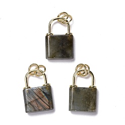 Labradorite Natural Labradorite Pendants, with Golden Brass Findings and Jump Rings, Cadmium Free & Lead Free, Lock, 27x18x5.5mm, Hole: 6mm