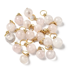 Розовый Кварц Подвески флаконы для духов из натурального розового кварца, с фурнитурой латунной золотого тона, круглый шарм, 31~36 мм, Кулон : 22~26x9~19 мм