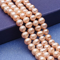 Bisque Natural Cultured Freshwater Pearl Beads Strands, Potato, Bisque, 6~7x6~6.5mm, Hole: 0.5mm, about 58~59pcs/strand, 13.77~13.97 inch(35~35.5cm).