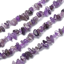Amethyst Natural Amethyst Chip Beads Strands, Dyed, 5~8x5~8mm, Hole: 1mm, about 31.5 inch