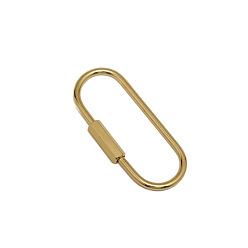 Без Покрытия Латунные подвески с карабином, овальные, сырой (без покрытия), 60x24x3 мм