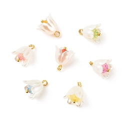 Mixed Color Spray Painted ABS Plastic Imitation Pearl Charms, with Transparent Acrylic Round Beads and Golden Tone Brass Findings, Flower, Mixed Color, 12.5~13x11mm, Hole: 2mm