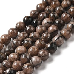 Chiastolite Нити из натуральных киастолитовых бусин, круглые, 12 мм, отверстие : 1.2~1.5 мм, около 34 шт / нитка, 15.94 дюйм (40.5 см)