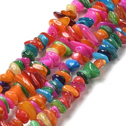 Colorful Natural Shell Beads Strands, Dyed, Nuggets Chips, Colorful, 5~13.5x5~8x1.5~6.5mm, Hole: 1mm, about 282pcs/strand, 31.30 inch(79.5cm)