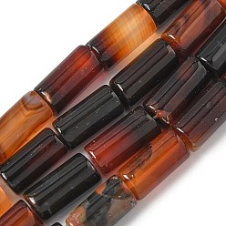 Кокосово-Коричневый Природный агат бисер нитей, окрашенная и подогревом, колонка, кокосового коричневый, 8~8.5x14.5~16 мм, отверстие : 1.6 мм, около 12 шт / нитка, 7.20~7.48'' (18.3~19 см)