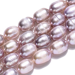 Thistle Natural Cultured Freshwater Pearl Beads Strands, Rice, Thistle, 7.2~8x5.5~6mm, Hole: 0.7~0.8mm, about 44~45pcs/strand, 13.58 inch(34.5cm)
