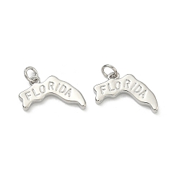 Платина Латунные подвески, самородки со словом «флоридские прелести», долговечный, стойки покрытие, без свинца и без кадмия, платина, 14.5x19x2.5 мм, Перейти кольцо: 5x1 мм, 3 мм внутренним диаметром
