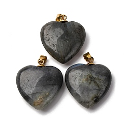 Лабрадорита Природные подвески лабрадорита, подвески-сердечки с 201 защелками из нержавеющей стали, золотые, ионное покрытие (ip), 28.5~29.5x25~25.5x8~8.5 мм, отверстие : 5.5x3.5 мм