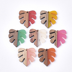 Mixed Color Resin & Walnut Wood Pendants, Tropical Leaf Charms, Monstera Leaf Pendant, Mixed Color, 30x28x3.5mm, Hole: 2mm