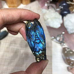 Insects Dyed Natural Labradorite Carved Display Decorations, Figurine Home Decoration, Reiki Energy Stone for Healing, Insects, 40~60mm