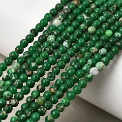 Темно-Зеленый Натуральный регалит / имперская яшма / морские отложения, окрашенные, круглые, темно-зеленый, 3 мм, отверстие : 0.8 мм, около 140 шт / нитка, 15.94'' (40.5 см)