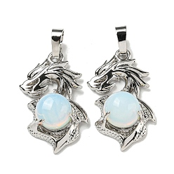 Опал Opalite подвески, Подвески-драконы со стойкой, латунная фурнитура, платина, без кадмия и без свинца, 31x18x8~10 мм, отверстие : 5x8 мм
