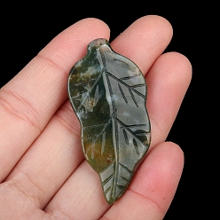 Indian Agate Natural Indian Agate Carved Healing Leaf Stone, Reiki Energy Stone Display Decorations, for Home Feng Shui Ornament, 47x20~25x6mm