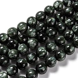 Seraphinite Natural Seraphinite Beads Strands, Round, Grade A, 9.5~10mm, Hole: 1mm, about 38pcs/strand, 15.43 inch(39.2cm)