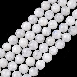 Rainbow Moonstone Natural Moonstone Beads Strands, Round, White, 4mm, hole: 1mm, 90pcs/strand, 15.74 inch