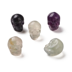 Fluorine Perles de fluorite naturelles, Halloween crâne, 11~11.5x8.5~9x11~11.5mm, Trou: 0.9~1mm