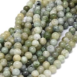 Myanmar Jade Natural Myanmar Jade Beads Strands, Round, 8~8.5mm, Hole: 1mm, about 46~49pcs/strand, 15.55 inch(39.5cm)