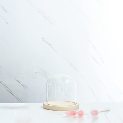 Прозрачный Стеклянный купол, декоративная витрина, колокол баночка террариум с деревянной основой, для подарка своими руками сохраненного цветка, прозрачные, 120x120 мм