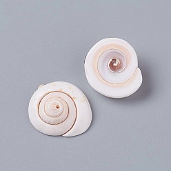 Seashell Color Natural Shiva Eye Shell Beads, Shell Shape, Seashell Color, 20~23x18~19x8~10mm, Hole: 1.2mm, about 150pcs/500g