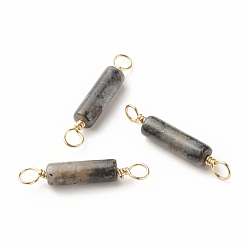 Labradorite Natural Larvikite Connector Charms, with Light Gold Eco-Friendly Copper Wire Wrapped, Column, 22~23.5x4mm, Hole: 2.2~2.4mm