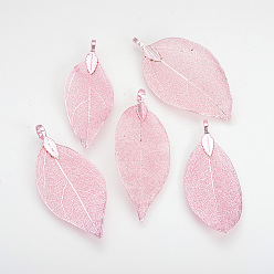 Rose Gold Plated Electroplated Natural Leaf Big Pendants, with Iron Findings, Rose Gold Plated, 50~80x20~35x1mm, Hole: 3x6mm