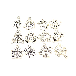 Antique Silver Tibetan Style Alloy Pendants, Twelve Constellation, Antique Silver, 23x21mm, Hole: 2mm, 12pcs/set