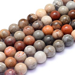 Fossil Coral Natural Red Fossil Coral Beads Strands, Round, 10mm, Hole: 1mm, about 38pcs/Strand, 15.55 inch(39.5cm)