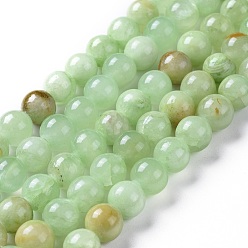 Prehnite Perles naturelles préhnite brins, teint, ronde, 8mm, Trou: 1.4mm, Environ 50 pcs/chapelet, 15.75 pouce (40 cm)
