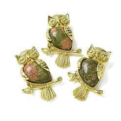 Унакит Природные подвески Unakite, латунные совьи амулеты, золотые, стойки покрытие, без кадмия и без свинца, 36.5x26.5x7.5 мм, отверстие : 6.5x4.5 мм